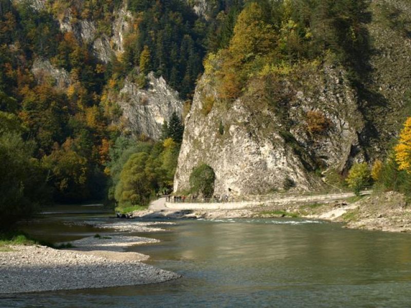 ujście Leśnickiego Potoku do Dunajca